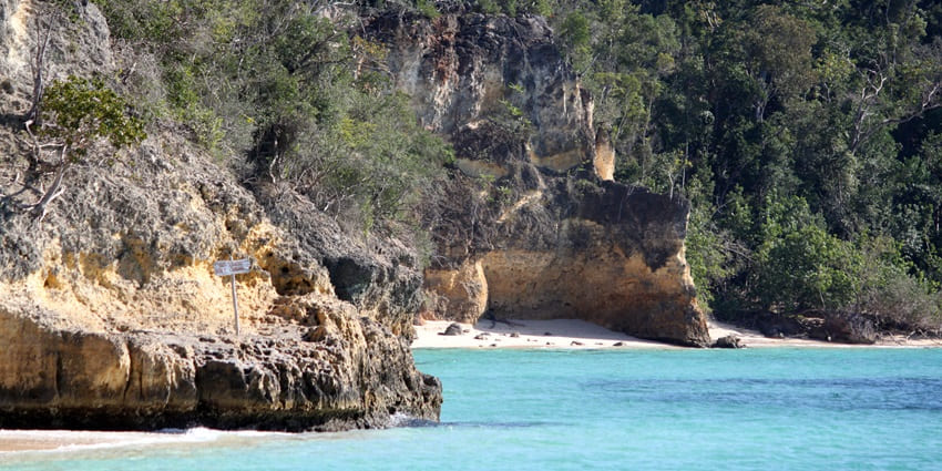 Explore the sanctuary on Cayo Saetía, where exotic animals roam freely amidst tropical landscapes.