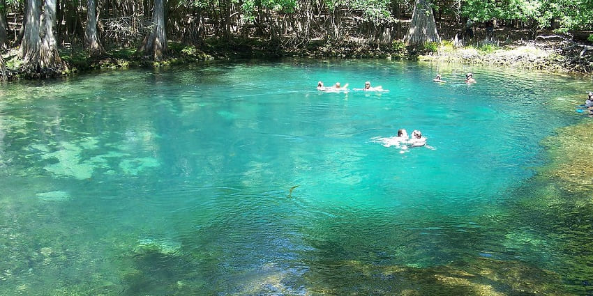 Explore crystal-clear waters and gentle manatees - one of the things to do in Florida for spring break.
