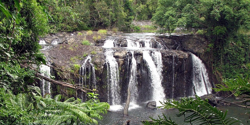 View of Millaa Millaa Falls cascading into a rainforest pool surrounded by dense green foliage.
