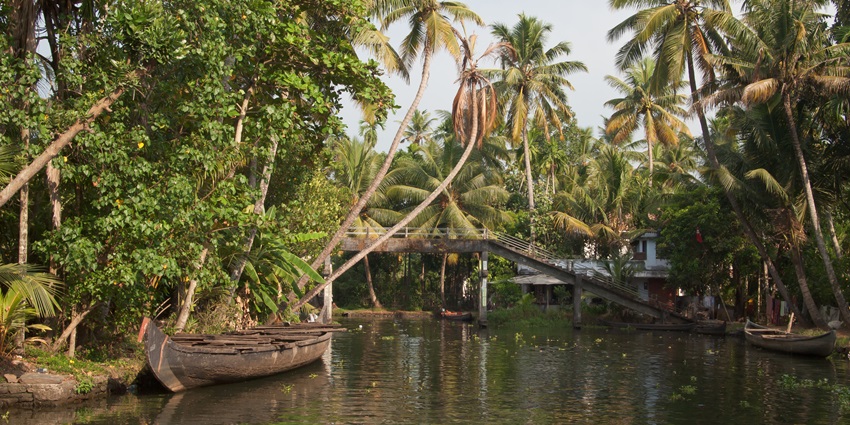 Backwaters with palm trees, a wooden boat parked and a bridge over the still-water body