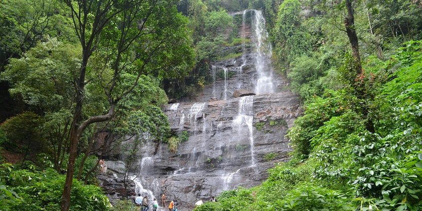 Coffee plantations stretch across hills in Chikmagalur, one of the top places to visit near Bangalore for 3 days