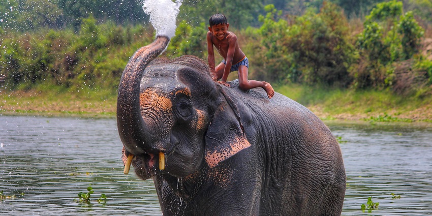 The Chitwan National Park is one of the best places to visit in Nepal in August.