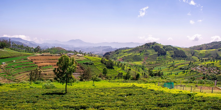 A view of colorful houses, a popular destination among places to visit near Coimbatore.
