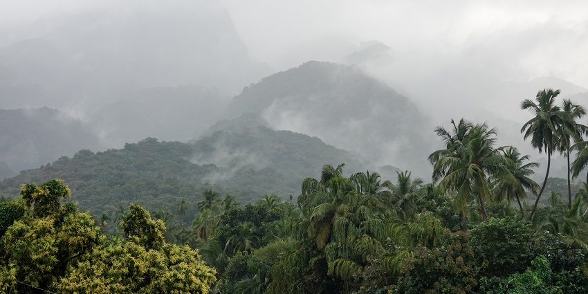 Mist-covered mountains in Courtallam, Tamil Nadu, captured in January