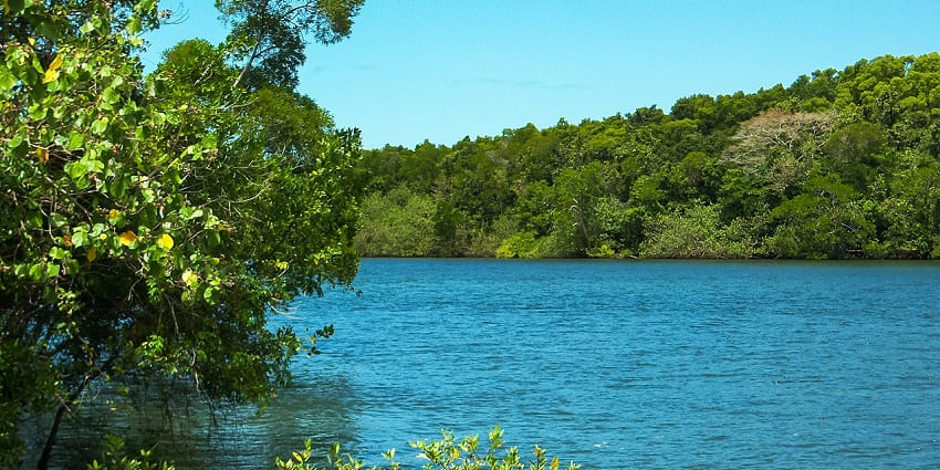 Daintree River winding through mangroves - one of the things to do in Far North Queensland.

