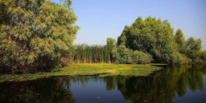 Enjoy a boat ride through the biodiverse waterways of the Danube Delta in Romania
