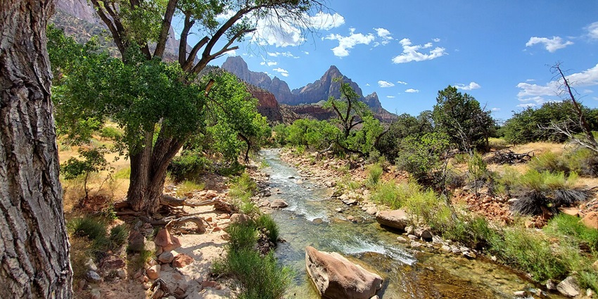 Cyclists riding along the Pa’rus Trail surrounded by wildflowers and red rock formations.