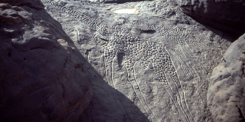 Two giraffes carved into a big rock with the shadow of surrounded rocks in the sunlight