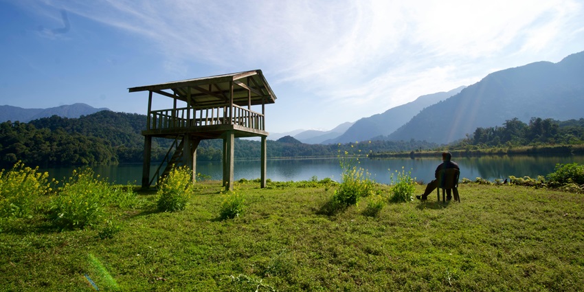 A person sitting on a chair beside a wooden observation tower near a river in greenery
