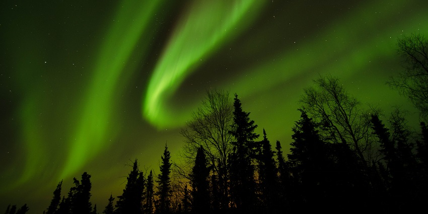 Things to do in Alaska include exploring the Aurora Borealis, illuminating the night sky over Fairbanks.