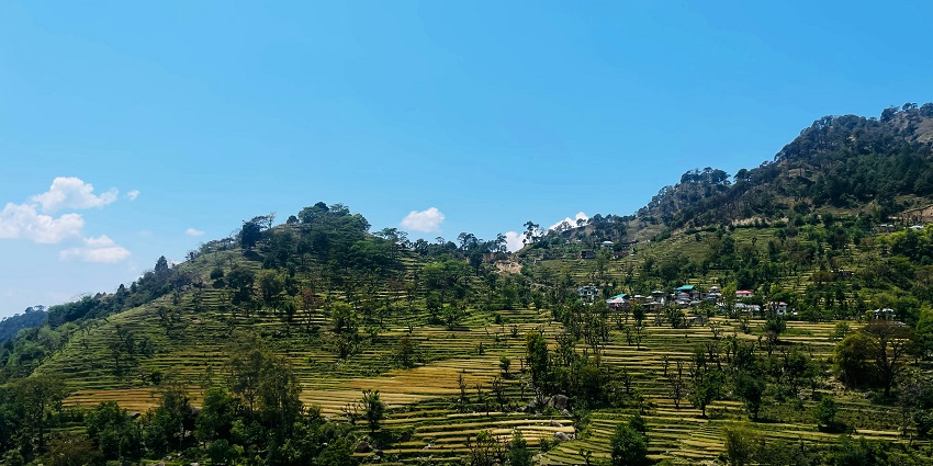 Daringbadi in Odisha with green bushes and mountains, one of the places to visit in Odisha in November.