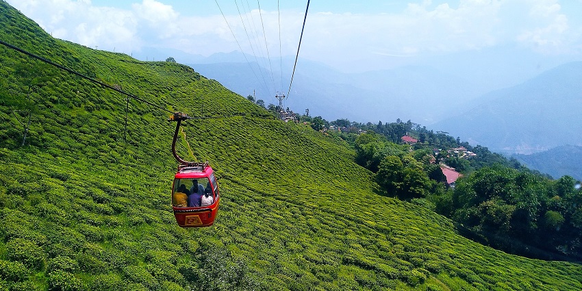 Darjeeling ropeway with people inside a red ropeway trolley, unique trees, amongst the best places to visit in Darjeeling in May.