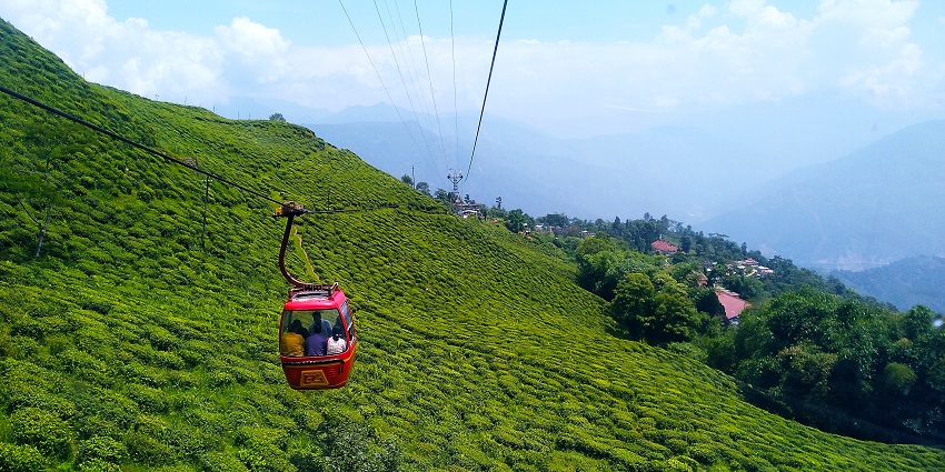 Darjeeling ropeway with people inside a red ropeway trolley, unique green trees and buildings.