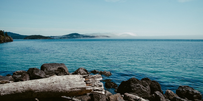One of the top islands in South Africa, is covered in brush with penguin colonies along the shore.