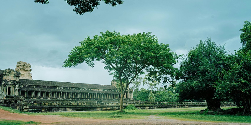 Large stone building with tall windows and a leafy tree in front on a sunny day.