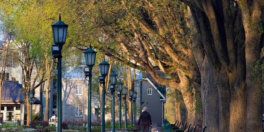 Quiet sidewalk with trees and benches, reflecting design that helps people feel safe in the city.