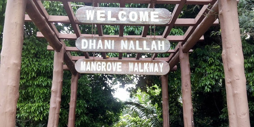 Wooden entrance structure marking the start of Dhani Nallah Mangrove Walkway trail.
