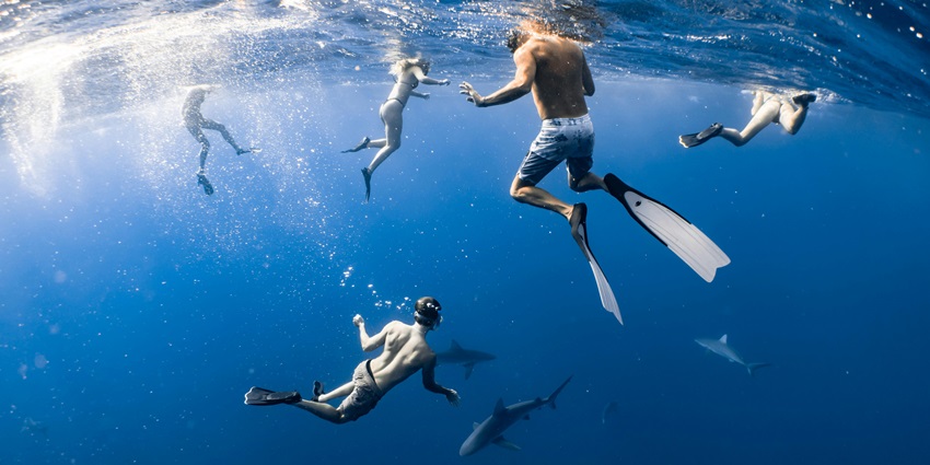 Snorkelling in Dharavandhoo Island, one of the best places to visit in Maldives in March