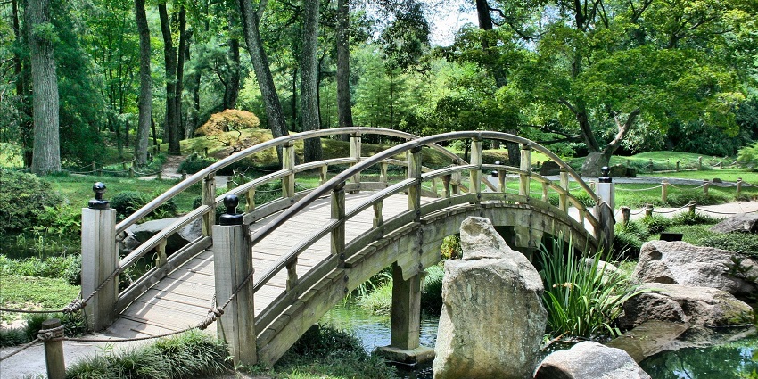 Scenic view of Diphu Arboretum with a bridge amidst lush green surroundings.