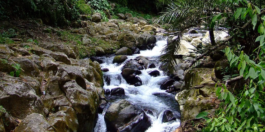 An image of the majestic Jeriau Waterfall, surrounded by shady dipterocarp and oak trees.