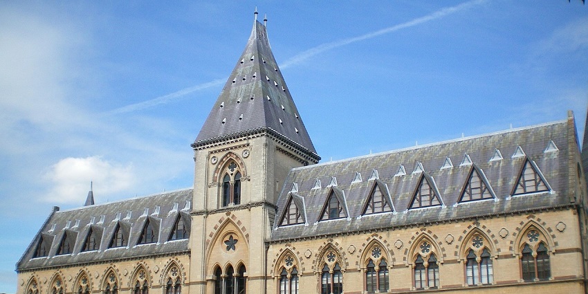 Things to do in Dorking include exploring local history exhibits at the Dorking Museum.