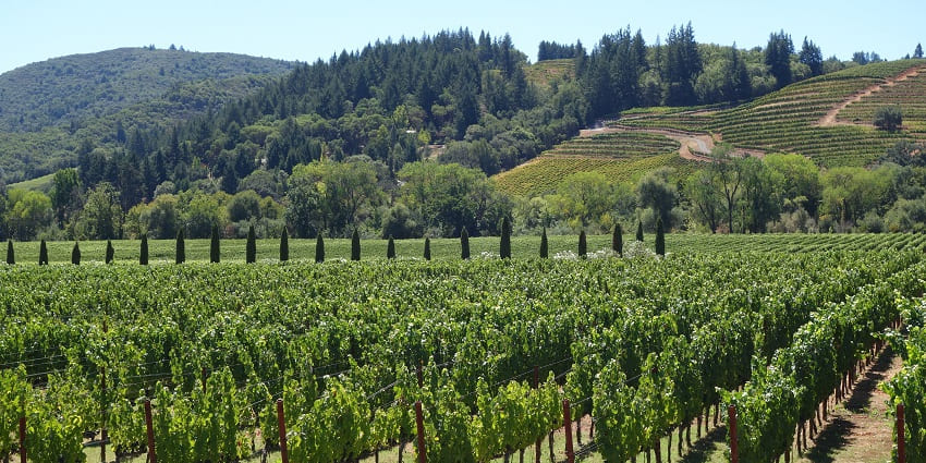 Rows of grapevines and a scenic lake set the backdrop for tastings at this tranquil winery.