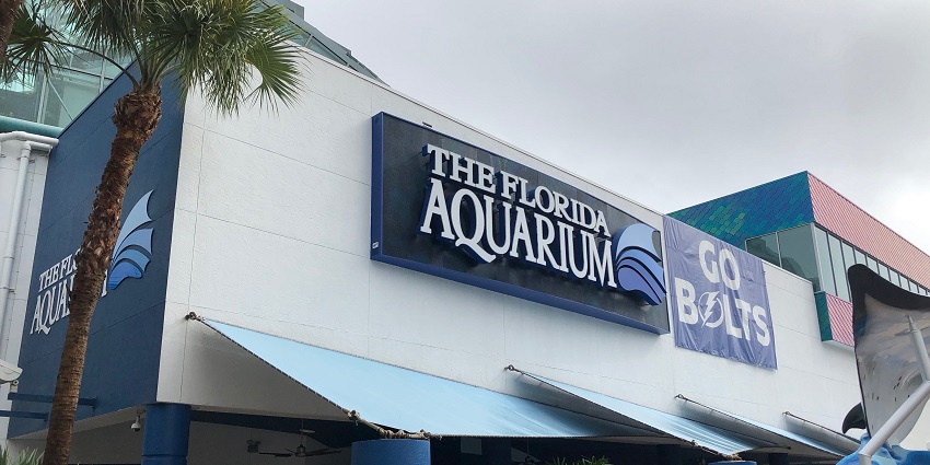 Explore marine life through immersive exhibits at the Florida Aquarium, among the best things to do in Tampa.