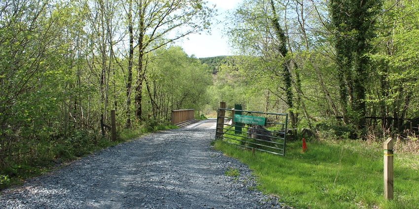 Explore a rare wilderness area with dense vegetation and hidden trails along the cliffs.