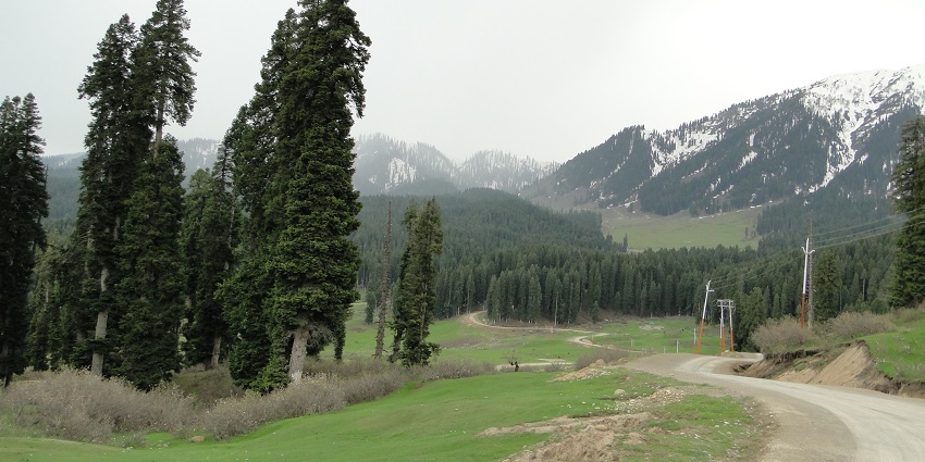 Peaceful valley with lush meadows, flowing streams, and surrounding pine-covered hills