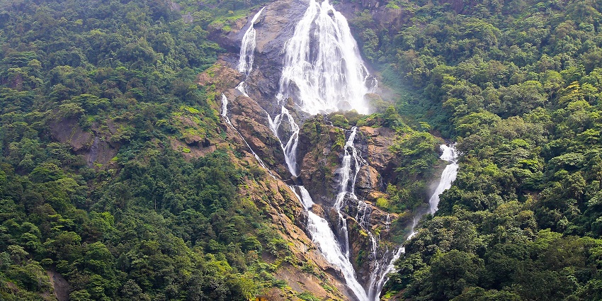 Towering Dudhsagar Waterfalls cascade down lush cliffs, surrounded by dense forest.