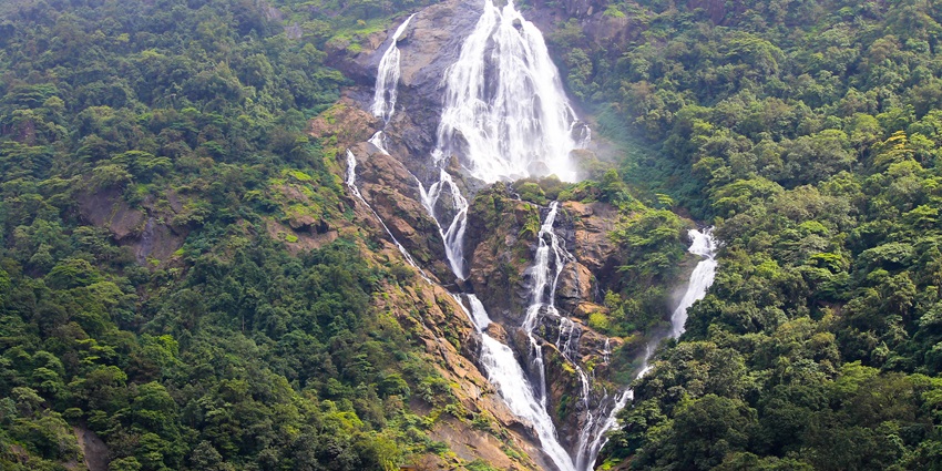 Dudhsagar waterfalls with water flowing on the rocky surface and surrounded by greenery