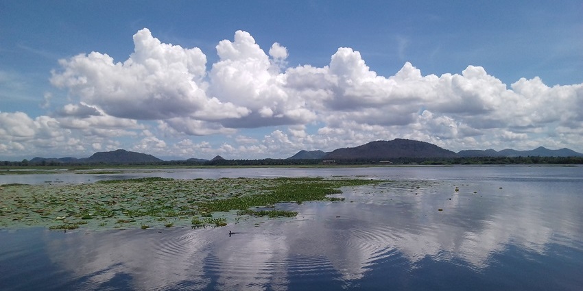 Dunuwila Lake in Sri Lanka, a still large water body with water weeds on the lake