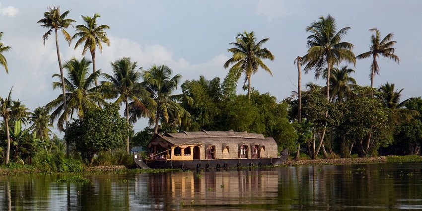 Houseboat cruising through serene backwaters lined with coconut trees