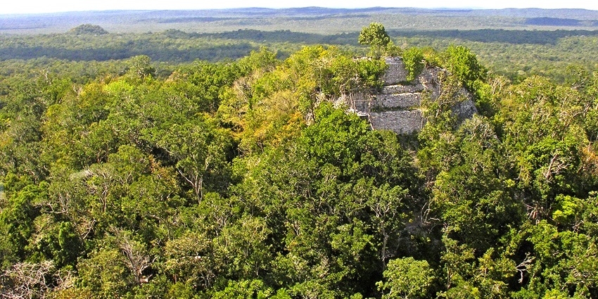Jungle-covered pyramids of El Mirador emerging from treetops.