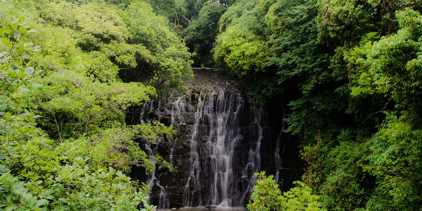 Elephant waterfalls with water flowing in the water body and grass growing on the rocks, one of the best places to visit in Shillong in October.