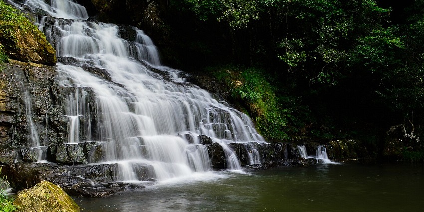 Elephant falls flowing on a dark rocky surface into a small pool surrounded by greenery.