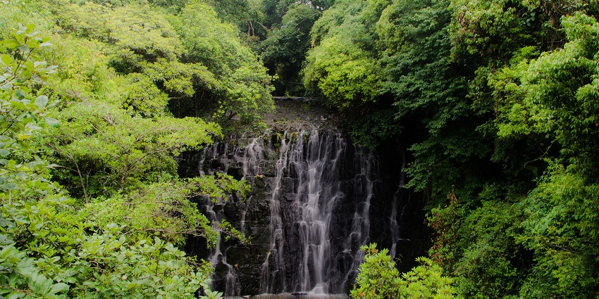 Elephant waterfalls in Shillong with water flowing on the rocky surface and greenery