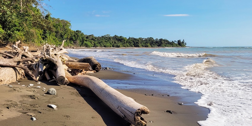 Dense forest trails and thick greenery surround hikers exploring unique things to do in Costa Rica.