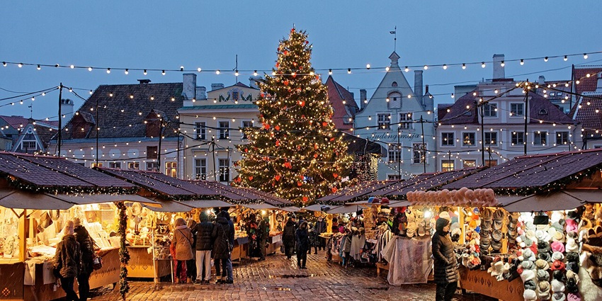 Discover the best things to do in Tallinn for local market and cuisine lovers by exploring vibrant markets like Central Market and Balti Jaama Turg