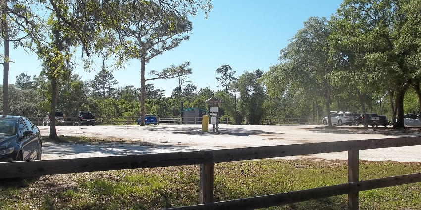 Things to do in Conroe include exploring pine trails and paths in W.G. Jones State Forest.