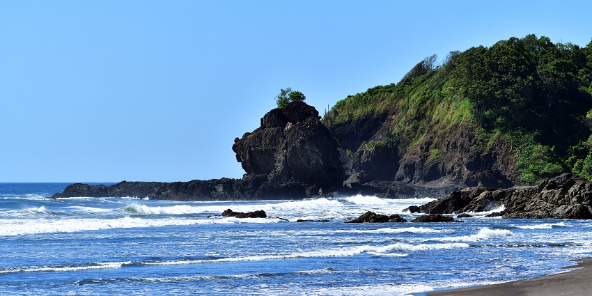 A quiet sandy beach with gentle waves and palm trees under a bright sky on the Nicoya Peninsula.