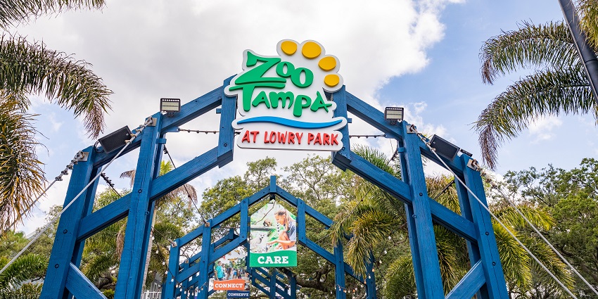 Encountering exotic animals at ZooTampa’s lush park setting, among the best things to do in Tampa.