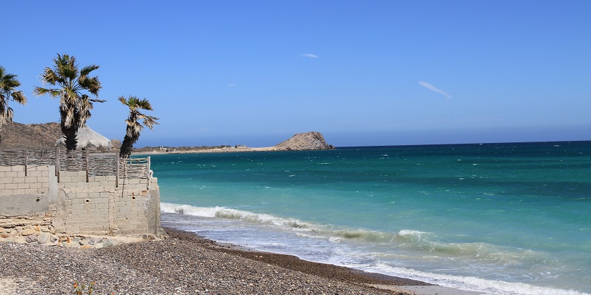 Things to do in Cabo include snorkelling or diving in Pulmo, home to coral reefs, sea turtles, and tropical fish.