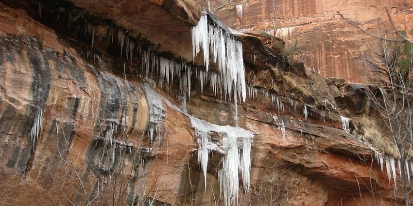 Things to do in Zion Park include exploring the waterfalls and lush vegetation.