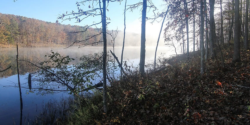 Things to do in Fulton, MO, include hiking wooded trails with river crossings and wildflowers.