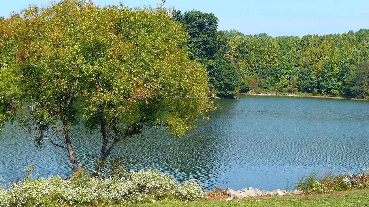 Serene lake surrounded by nature trails, picnic areas, and opportunities for birdwatching.
