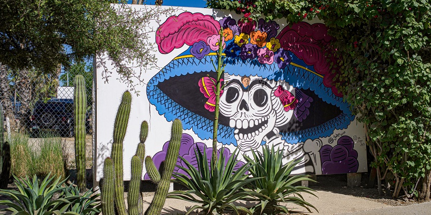 Things to do in San Jose Cabo, Mexico, include wandering through the San José Art District