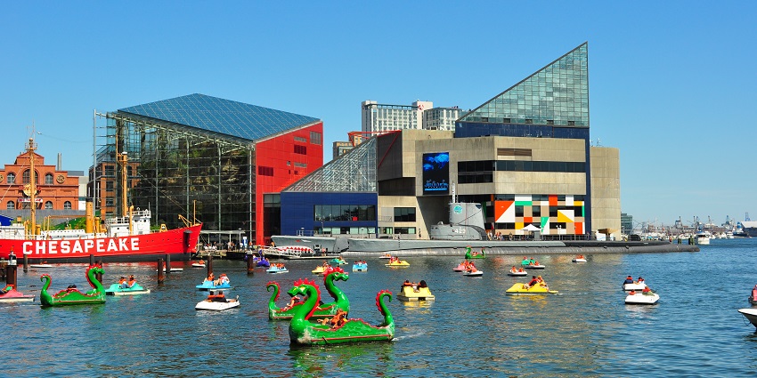 Things to do in Baltimore include exploring marine life from around the globe at the National Aquarium, featuring immersive exhibits.