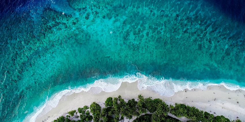 A scenic view of a tropical shoreline where turquoise waves meet a white sandy beach lined with dense palm trees.