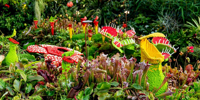 Detailed LEGO display of carnivorous plants in Singapore’s Gardens by the Bay Cloud Forest.